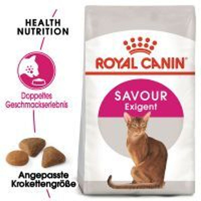 Royal Canin Feline Savour Exigent - 10 KG