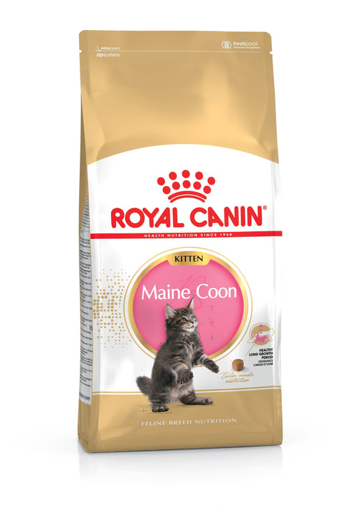 Royal Canin Feline Maine Coon Kitten - 4 KG