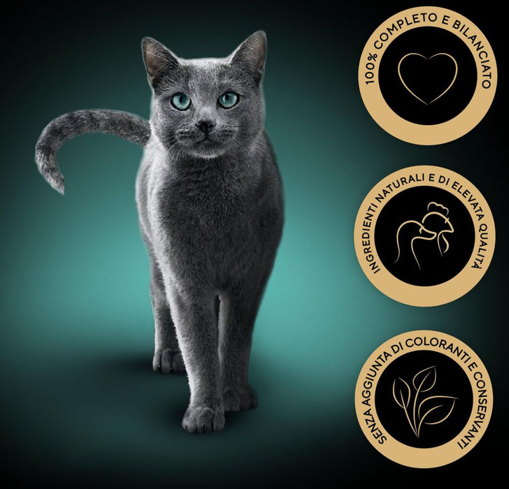 Sheba Selection Select Slices Poultry taste in sauce - cat neat feed 120x85g