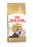 Royal Canin Feline Persian - 10 KG