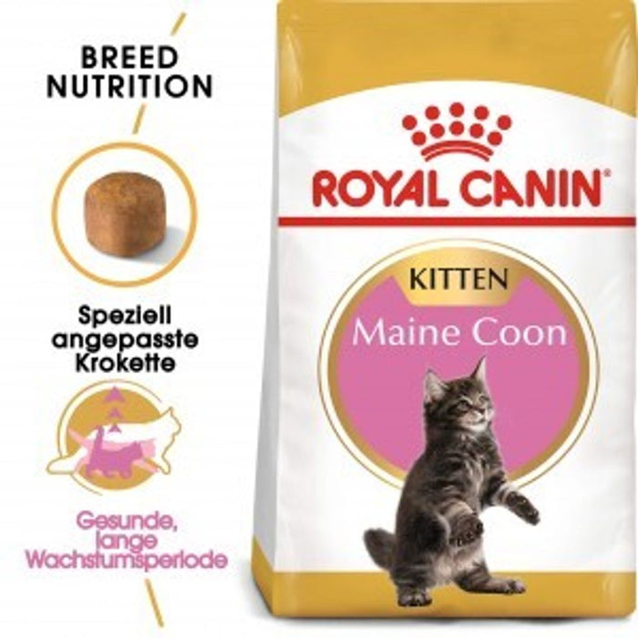 Royal Canin Feline Maine Coon Kitten - 4 KG