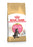 Royal Canin Feline Maine Coon Kitten - 4 KG