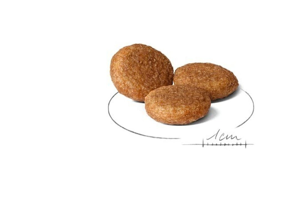 Royal Canin Shn Medium Adult BF 15kg